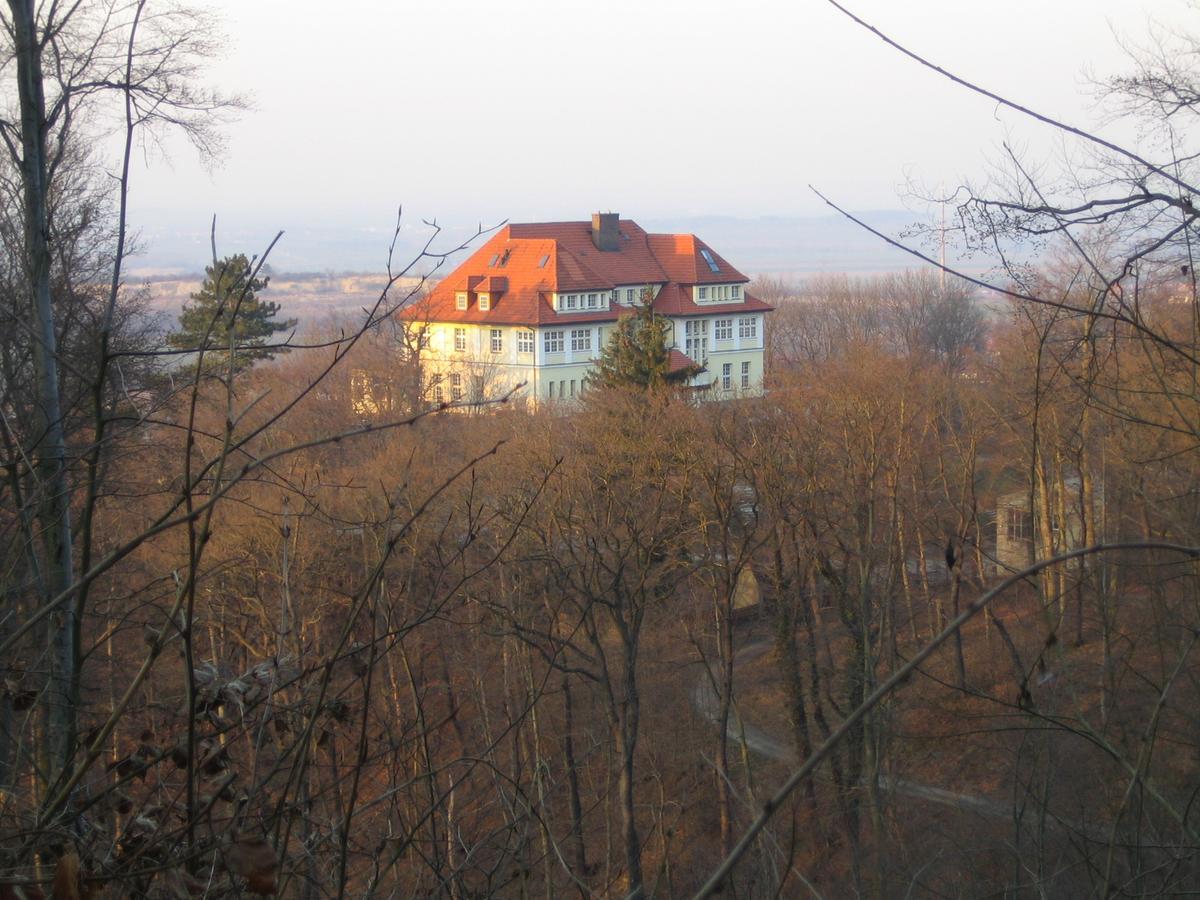 Hotel Stubenberg Gernrode  Dış mekan fotoğraf