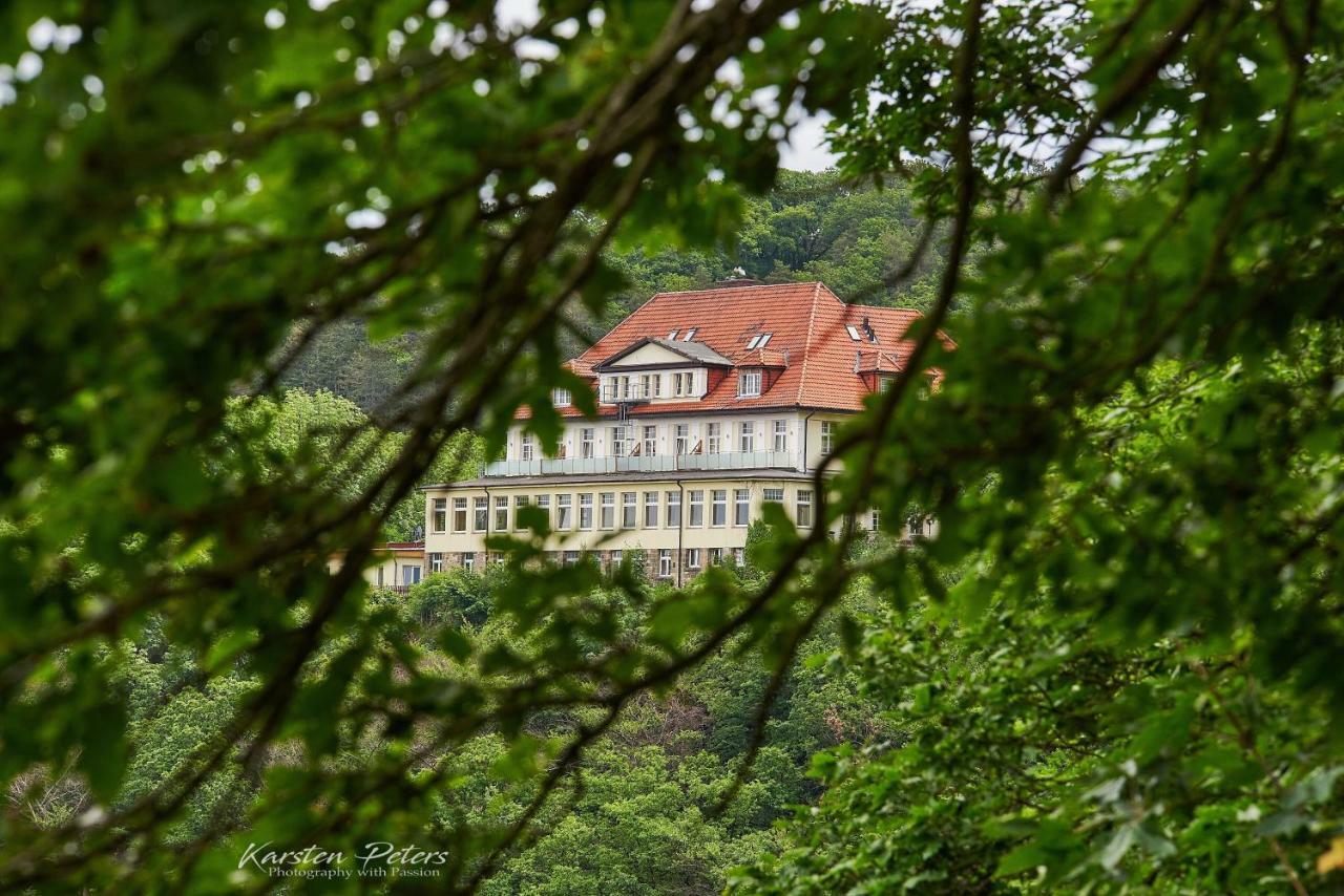 Hotel Stubenberg Gernrode  Dış mekan fotoğraf